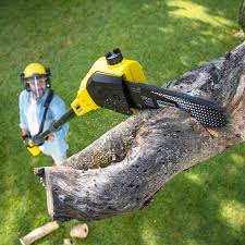 Best Lawn Maintenance Plans  in North Zanesville, OH